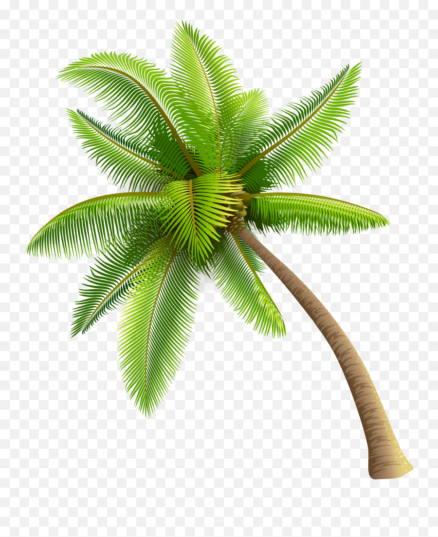 Palm Tree Clipart - Coconut Tree Transparent Background Emoji,Palm Tree Emoticons