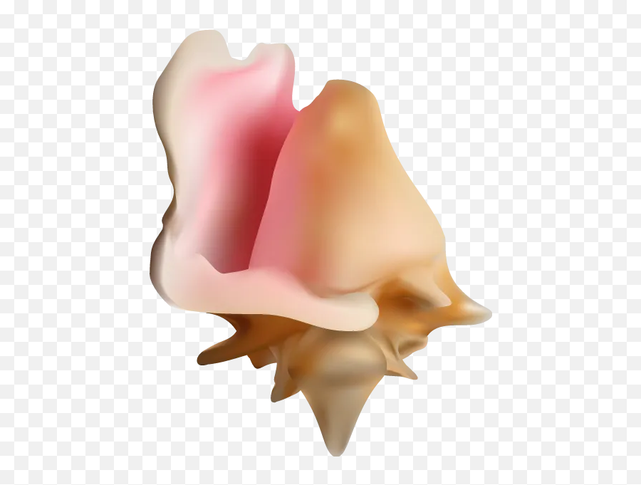 Conch Shell Emoji Hugh Galloway - Soft Serve Ice Creams,Shell Emoji