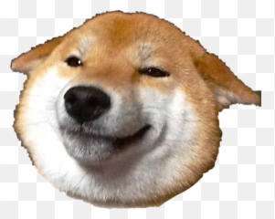 Shiba Dog Japan Freetoedit - Sticker By Jaynha Shiba Smile Emoji,Shiba Emoji
