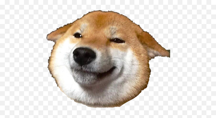 Shiba Dog Japan Freetoedit - Sticker By Jaynha Shiba Smile Emoji,Shiba Emoji