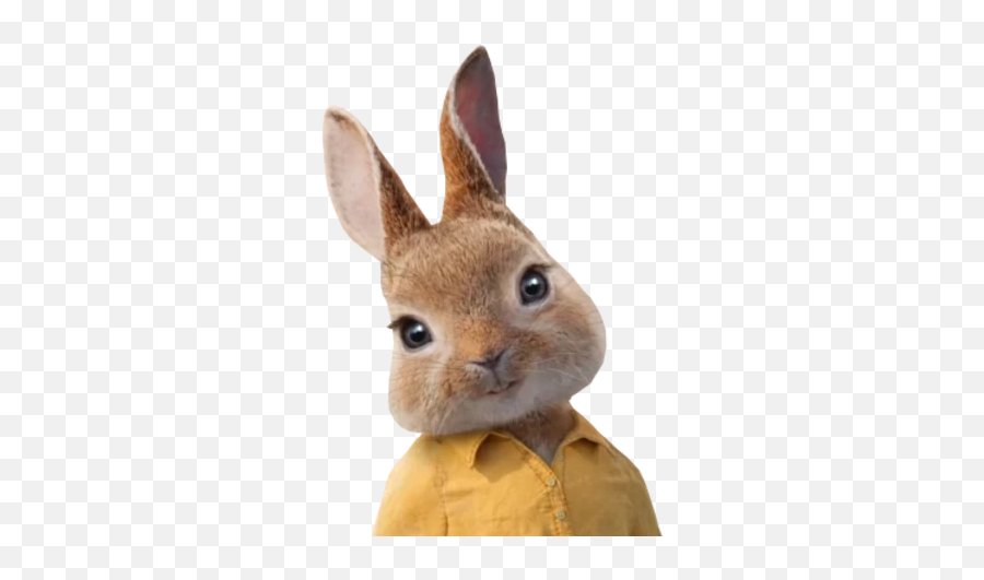 Mopsy Sony Pictures Animation Wiki Fandom - Swamp Rabbit Emoji,Woman With Bunny Ears Emoji