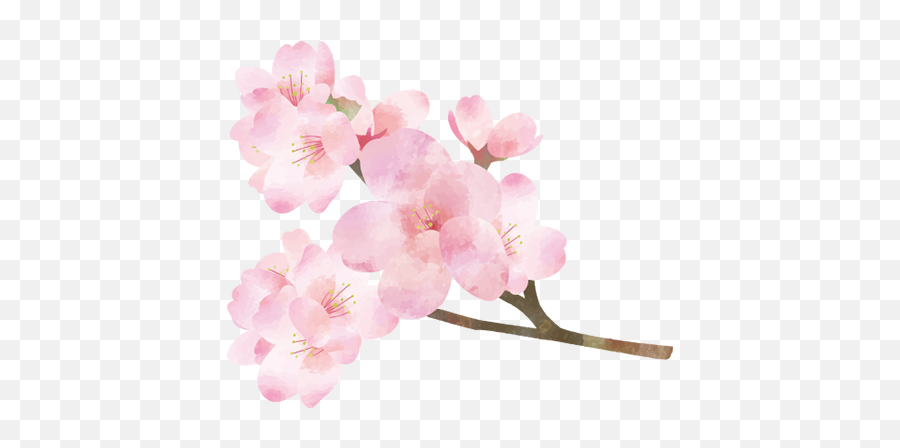 Gucalu By Sadie Josephs - Cherry Blossom Emoji,Cherry Blossom Emoticon