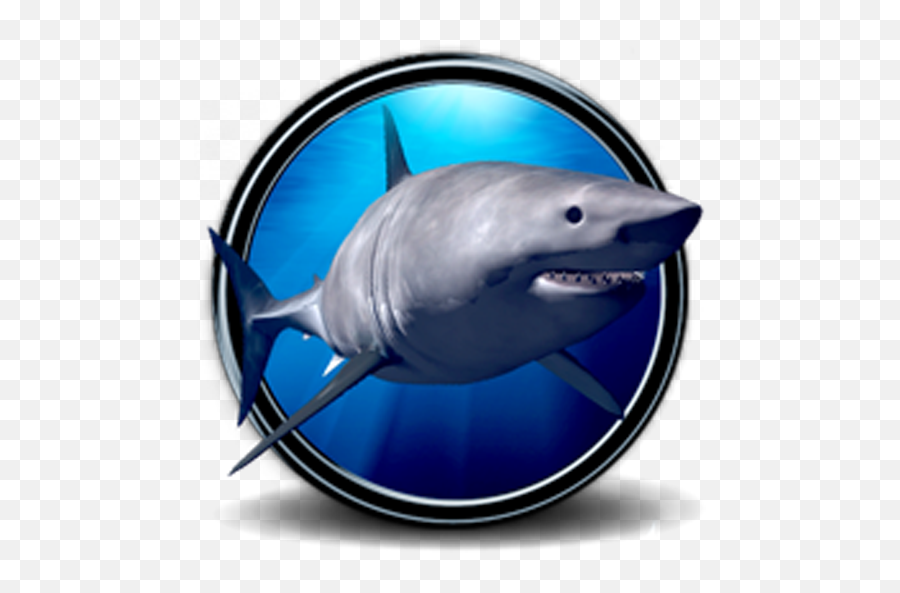 Shark Wallpaper Hd - Great White Shark Emoji,Shark Emoji Iphone