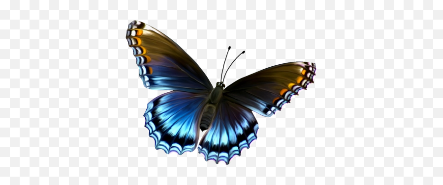 Butterfly Png And Vectors For Free - Butterfly Image Hd Download Emoji,Butterfly Emoji Iphone