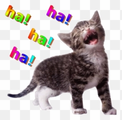 Funny Emoticons - Pussycat Doll Memes Emoji,Kitten Emoticons