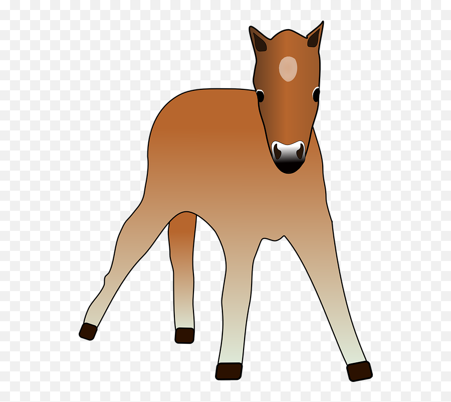 Free Pony Horse Vectors - Clipart Horse Emoji,Horse Emoji