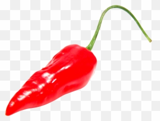 Pepper Png Images Black Green Chilli Clipart Free - Red Chili Emoji