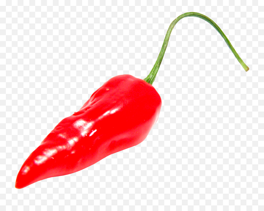 Pepper Png Images Black Green Chilli Pepper Clipart Free - Red Chili Pepper Png Emoji,Chili Emoji