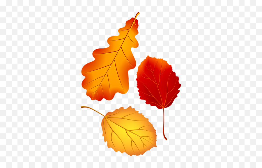 964 Best Rudens Images In 2020 Fall Crafts Autumn - Autumn Emoji,Maple Syrup Emoji