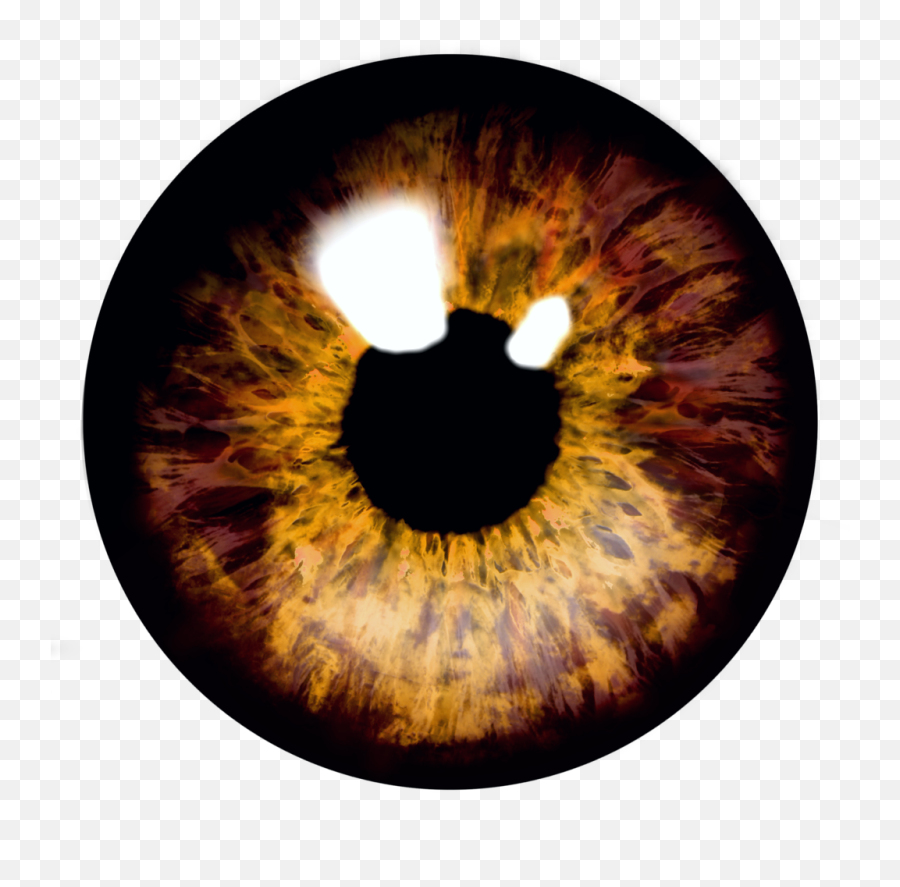 Eye Eyes Eyeball Eyeballs - Brown Eyes Transparent Background Emoji,Eyeballs Emoji
