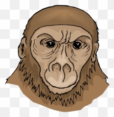 Clipart Face Orangutan Transparent - First Apes Emoji