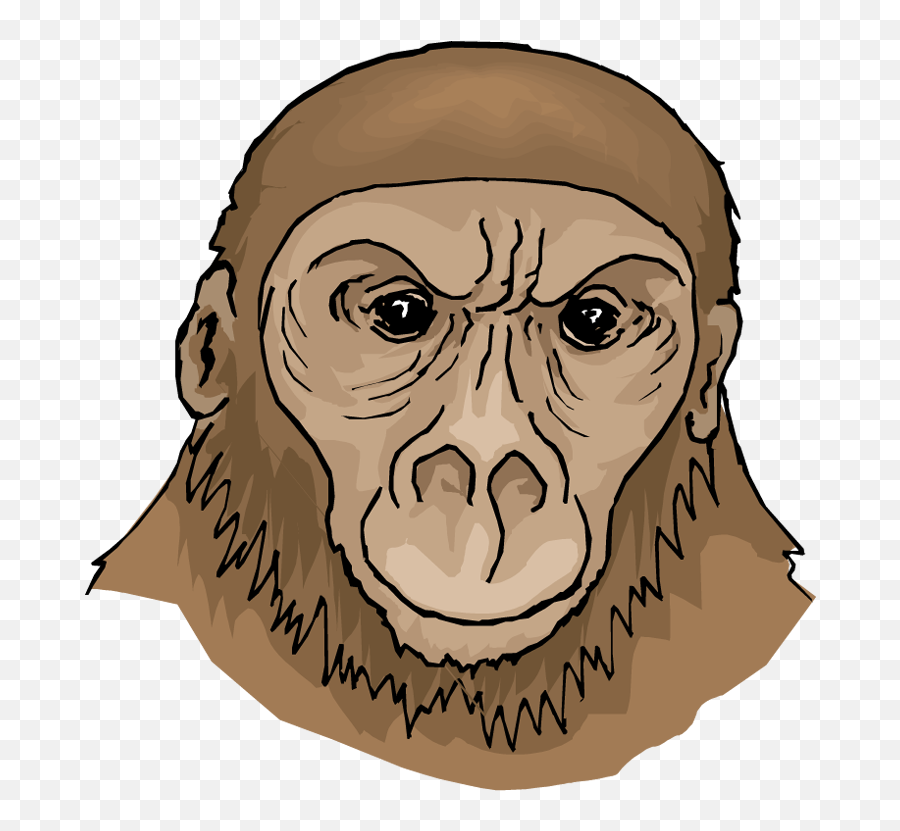 Clipart Face Orangutan Transparent - First Apes Clipart Emoji,Orangutan Emoji