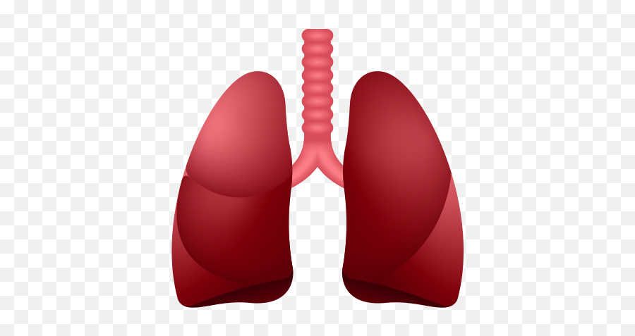 Lungs Icon - Free Download Png And Vector Comfort Emoji,Chest Bump Emoji