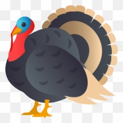 Turkey Nature Gif - Domestic Emoji