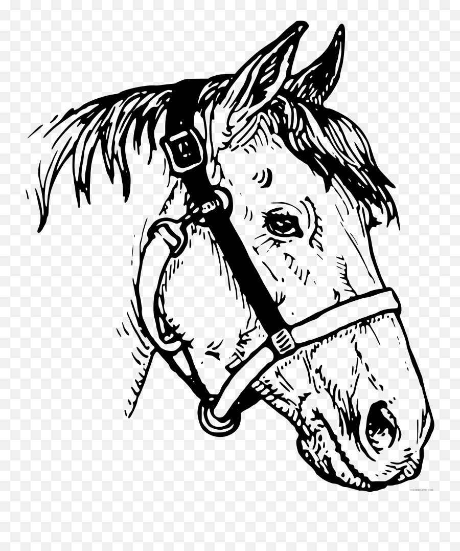 Horse Head Coloring Pages Horsehead2 - Head Horse Clipart Black And White Emoji,Horse Head Emoji