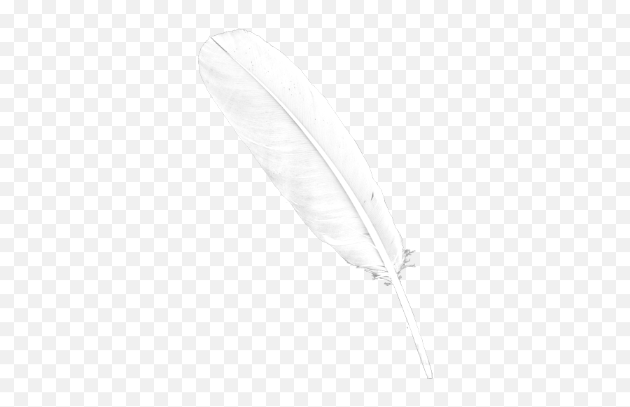 Download Transparent Background White - Transparent Background White Feather Pen Emoji,Is There A Feather Emoji