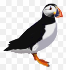 Free Png Images - Code Colony Emoji,Puffin Emoji