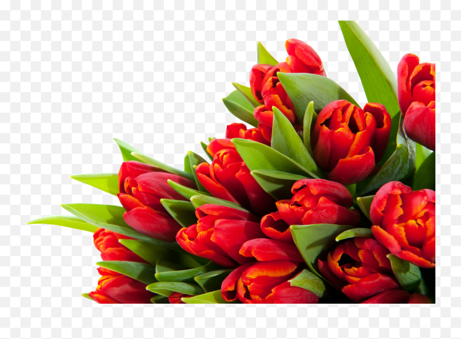 Bouquet Flowers Png Emoji,Best Discord Emoji