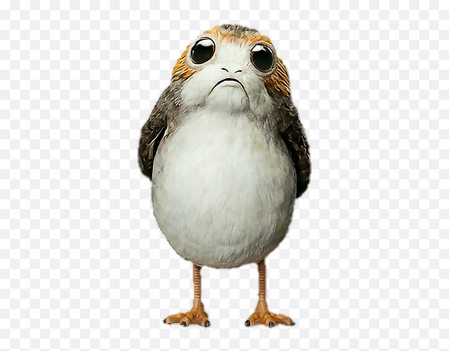 Porgs Porg Starwars Sticker - Porg Star Wars Emoji,Porg Emoji