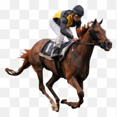 Horse Racing Png Picture - Race Emoji