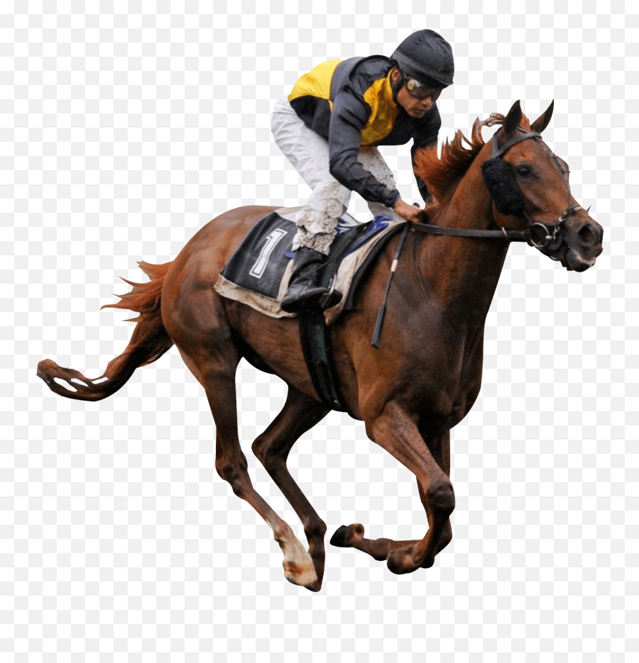 Horse Racing Png Picture - Race Horse Png Emoji,Kentucky Derby Emoji