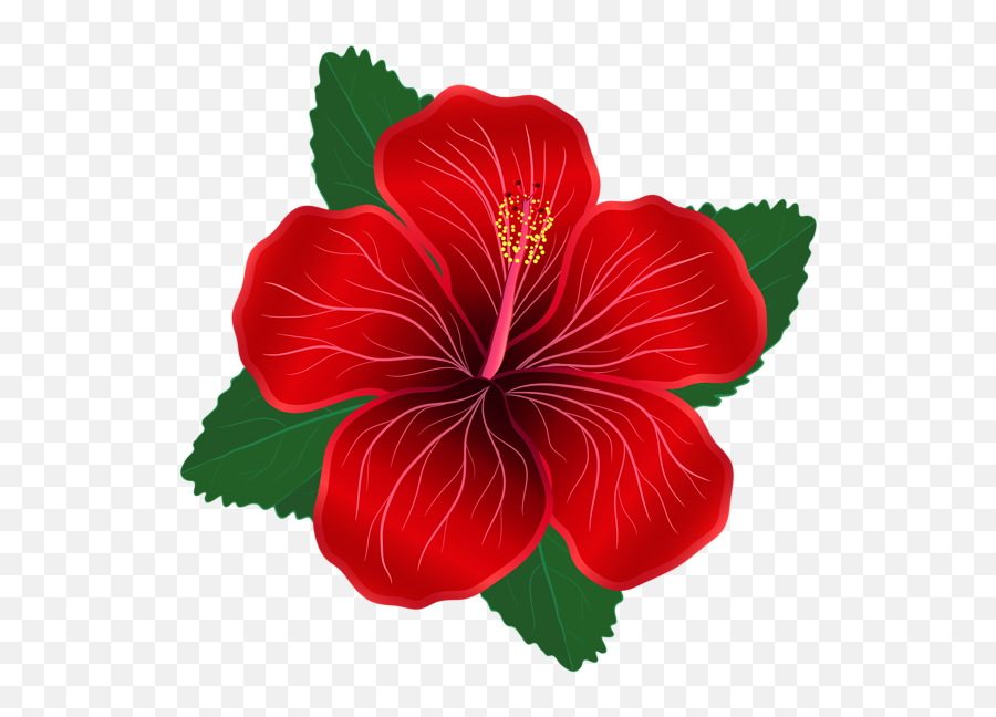 Red Flower Png Red Flower Png Transparent Free For Download - Transparent Background Red Flower Clipart Emoji,Red Flower Emoji