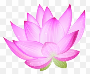 Free White Lotus Flower Png Download - Lotus Clipart Emoji,Lotus Flower Emoji