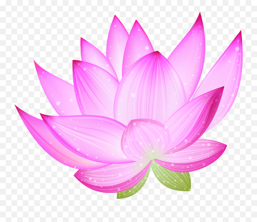 Free White Lotus Flower Png Download - Lotus Clipart Emoji,Lotus Flower Emoji