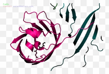 Pdb Id 4zfs Archives - Poetry From The Lab Illustration Emoji,Superwoman Emoji