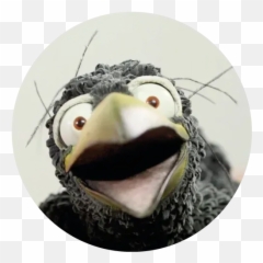 Einstein - Bald Eagle Emoji,Puffin Emoji