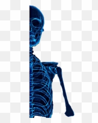 Popular And Trending X - Illustration Emoji,X Ray Emoji