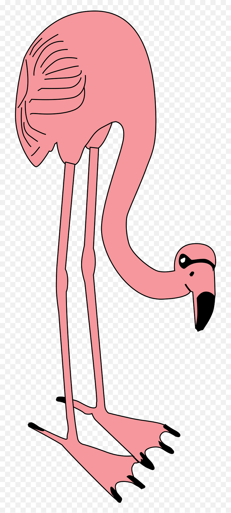 Pink Flamingo Clipart Emoji,Flamingo Emoji