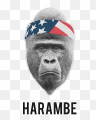 Harambe Face Png - Minute To Win It Separation Emoji,Harambe Emoji