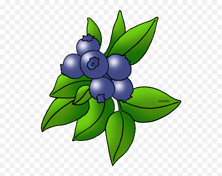 Blueberry Clipart Blueberry Bush Blueberry Blueberry Bush - Blueberry Clip Art Emoji,Member Berries Emoji