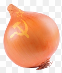 Trending Onion Stickers - Yellow Onion Emoji,Onion Emoji