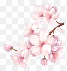 Sakura Flower Pink - Sticker By Salurai Miku Ideas Para Roleplays Emoji,Sakura Blossom Emoji