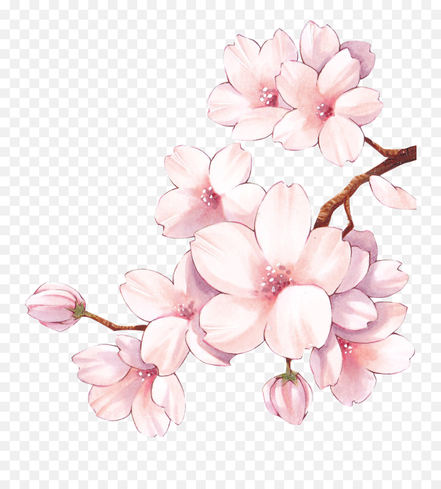 Sakura Flower Pink - Sticker By Salurai Miku Ideas Para Roleplays Emoji,Sakura Blossom Emoji
