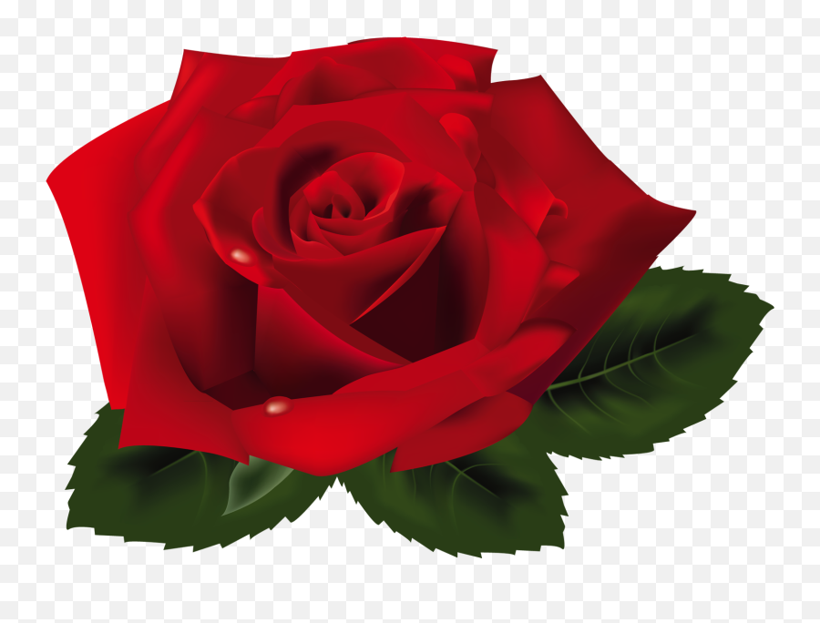Free Transparent Flower Png Download Free Clip Art Free - Rose Png Clipart Emoji,Rose Emoji Transparent