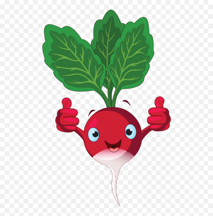 Vegetablesalad Vegetable Salad Illustration Vegetable - Cartoon Veg Clip Art Emoji,Beet Emoji