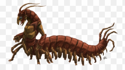 Drawing Insect Centipede Transparent - Centipede Man Emoji,Centipede Emoji
