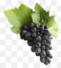 Download Grape Png Image - Emoji