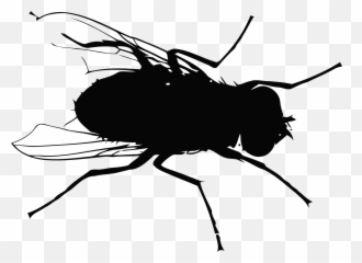 Fly Mosquito Flight - Fly Vector Png Emoji,Mosquito Emoji