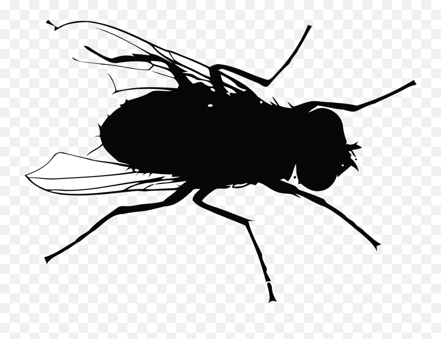 Fly Mosquito Flight - Fly Vector Png Emoji,Mosquito Emoji
