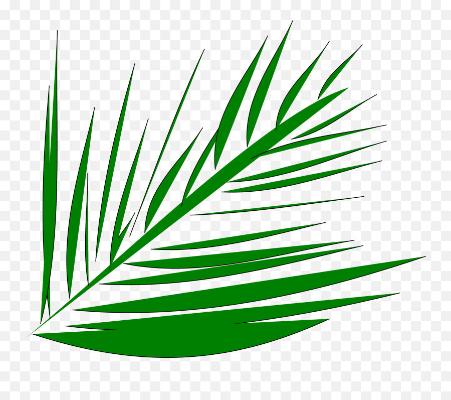 Big Image - Palm Trees Lent Transparent Background Clipart Lent Transparent Emoji,Palm Tree Emoji Png