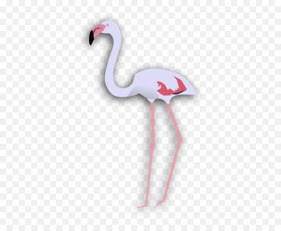 Greaterflamingo - Greater Flamingo Emoji,Flamingo Emoji