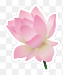 Sweet Pink Lotus Flower Sticker - Sacred Lotus Emoji,Lotus Flower Emoji