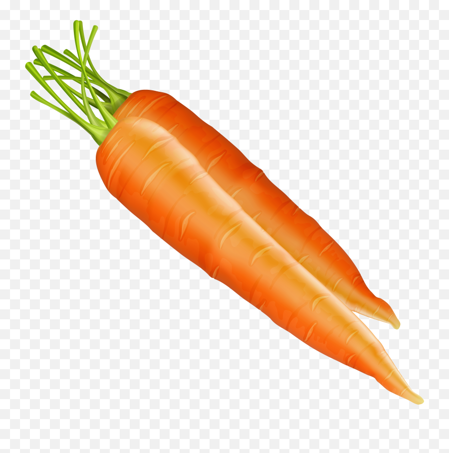 Carrots Baby Transparent Png Clipart - Carrots Clipart Png Emoji,Carrot Emoji