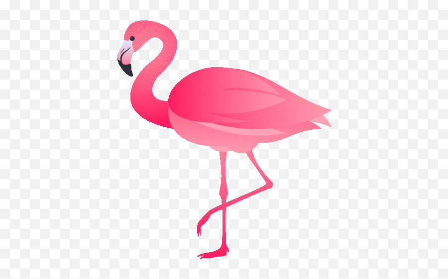 Flamingo Nature Gif - Flamingo Emojisi,Flamingo Emoji