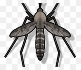 Anti Mosquito Sound Prank Android - Anti Mosquito Emoji,Mosquito Emoji
