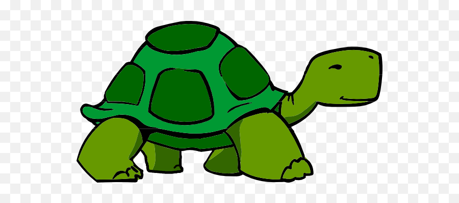 Turtle Facts - Transparent Background Turtle Clipart Emoji,Google Turtle Emoji
